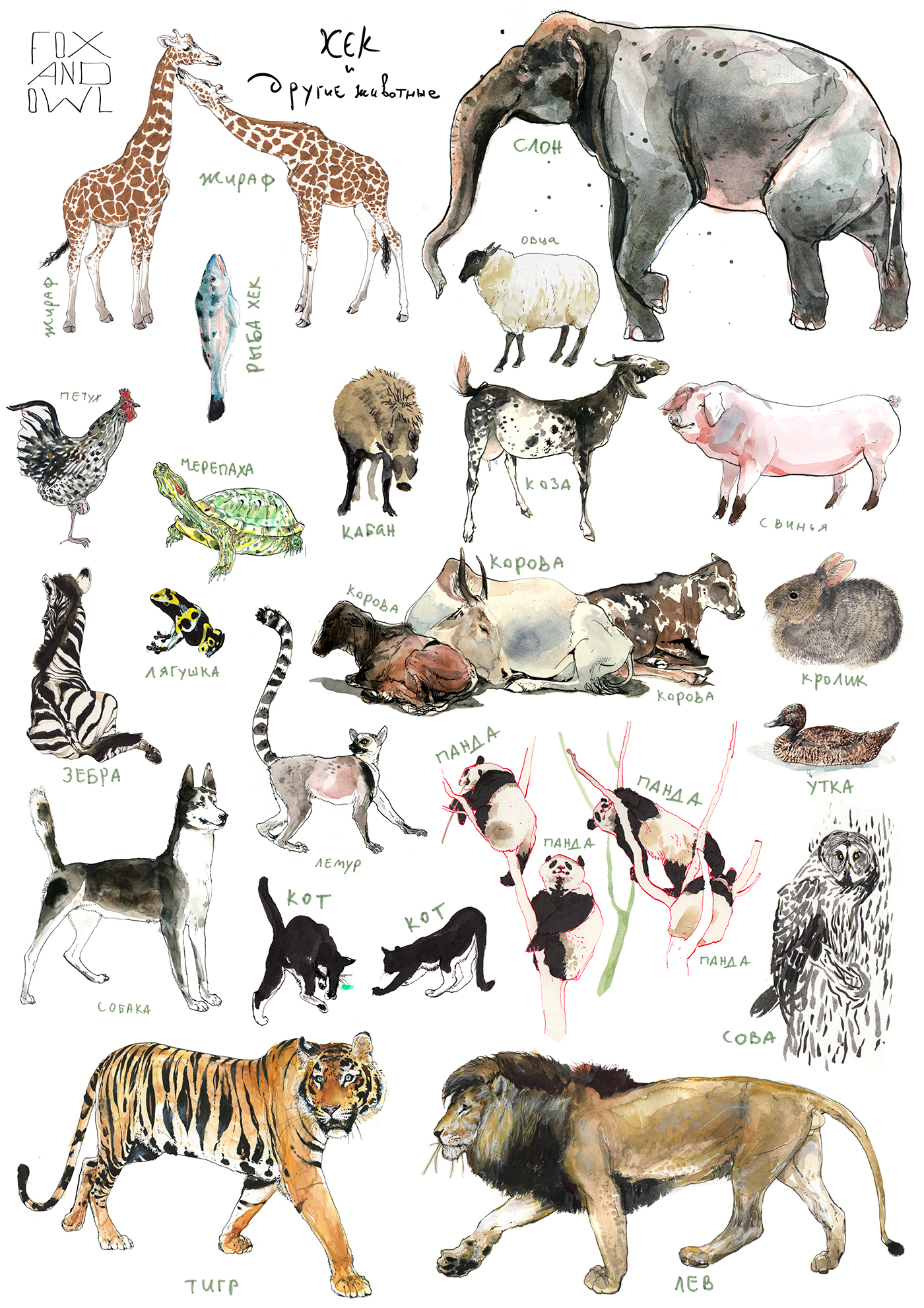 animals poster print botanical