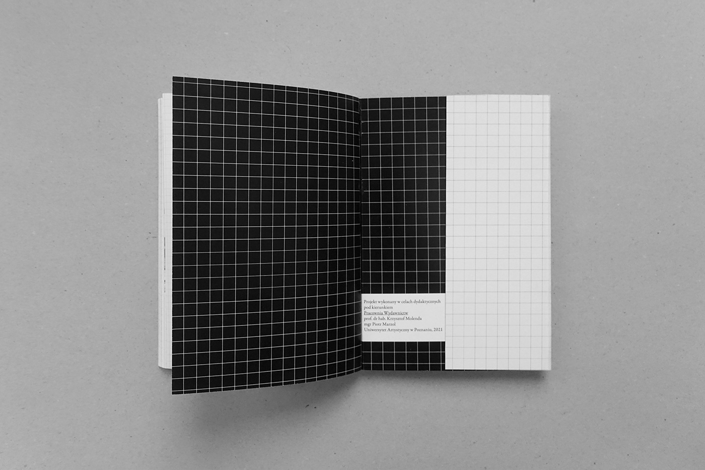 black and white book Booklet Brutalist editorial essay ILLUSTRATION  philosophy  Zin