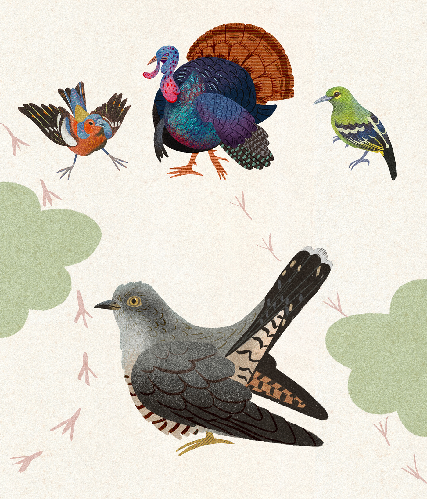 ABC alphabet birds book ILLUSTRATION  Nature pattern poster print tipography