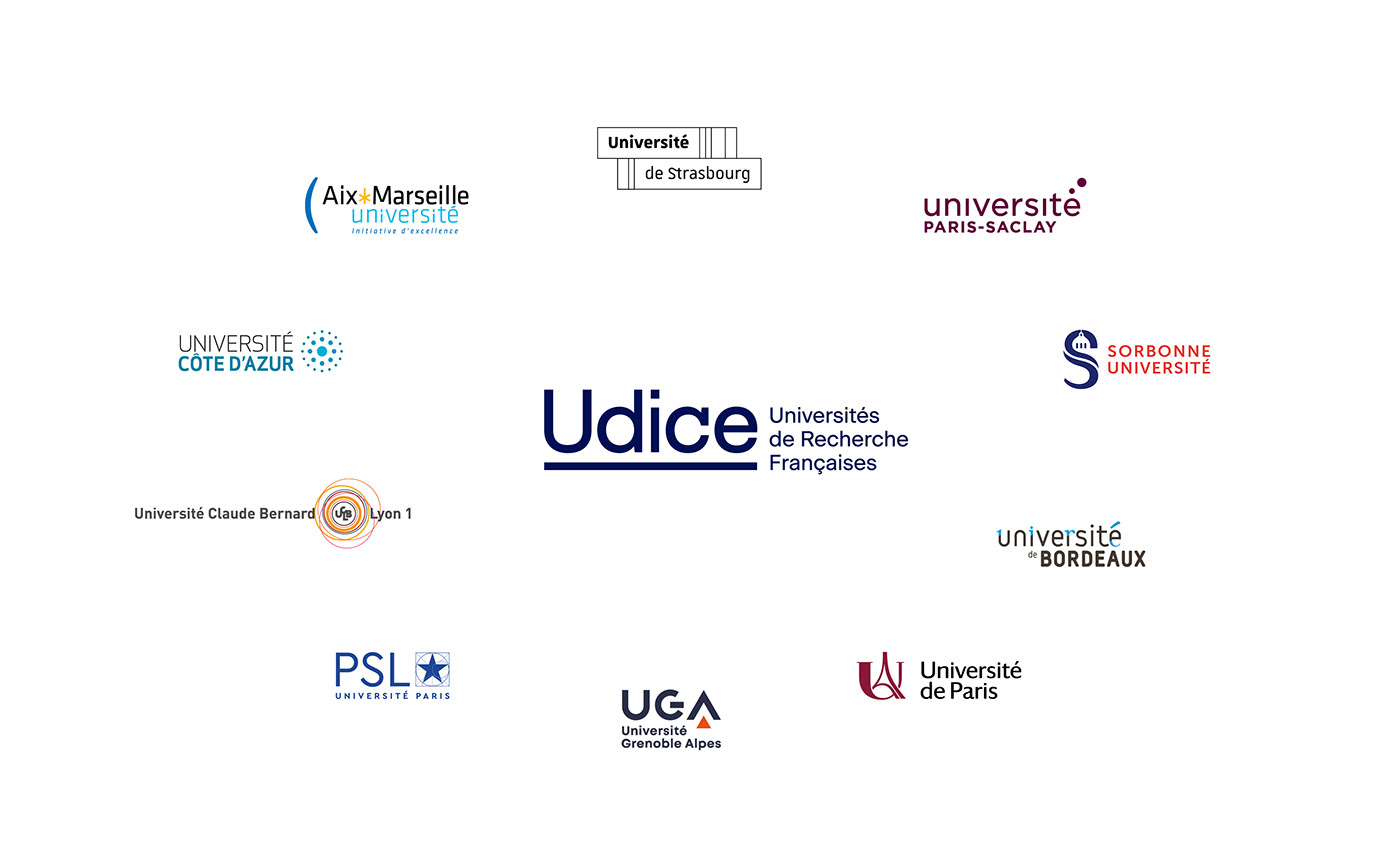 blue branding  logo naming research typography   University beige corporate Education