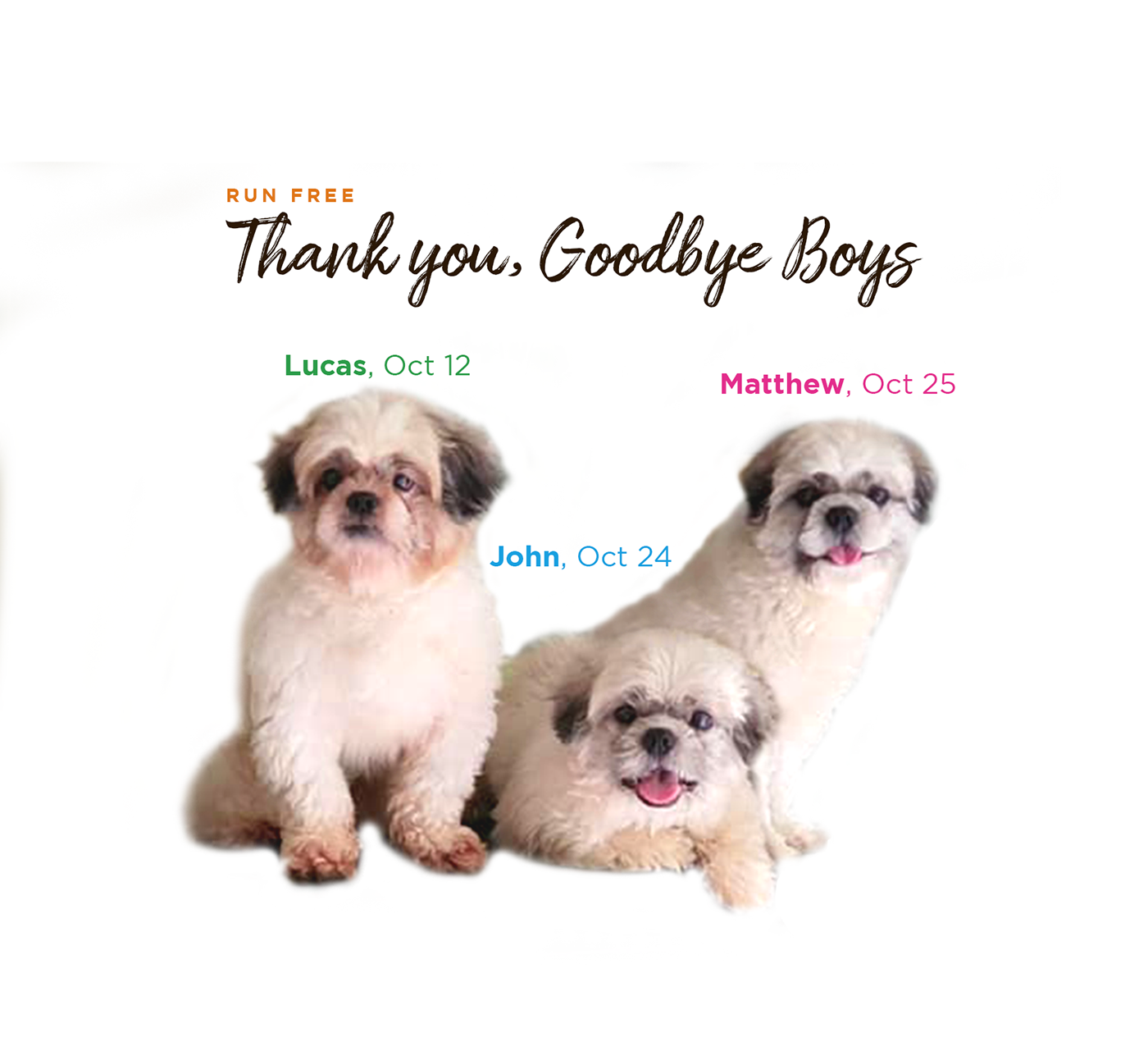 Digital Art  doglover dogs Drawing  goodbye ILLUSTRATION  lineart pets sketch vector art