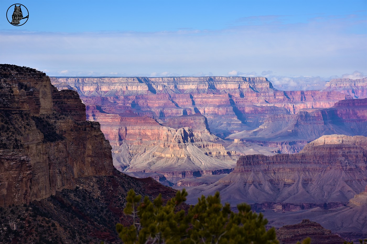 Grand Canyon Park national Nature Landscape Tree  Ancient Landmark amazing huge