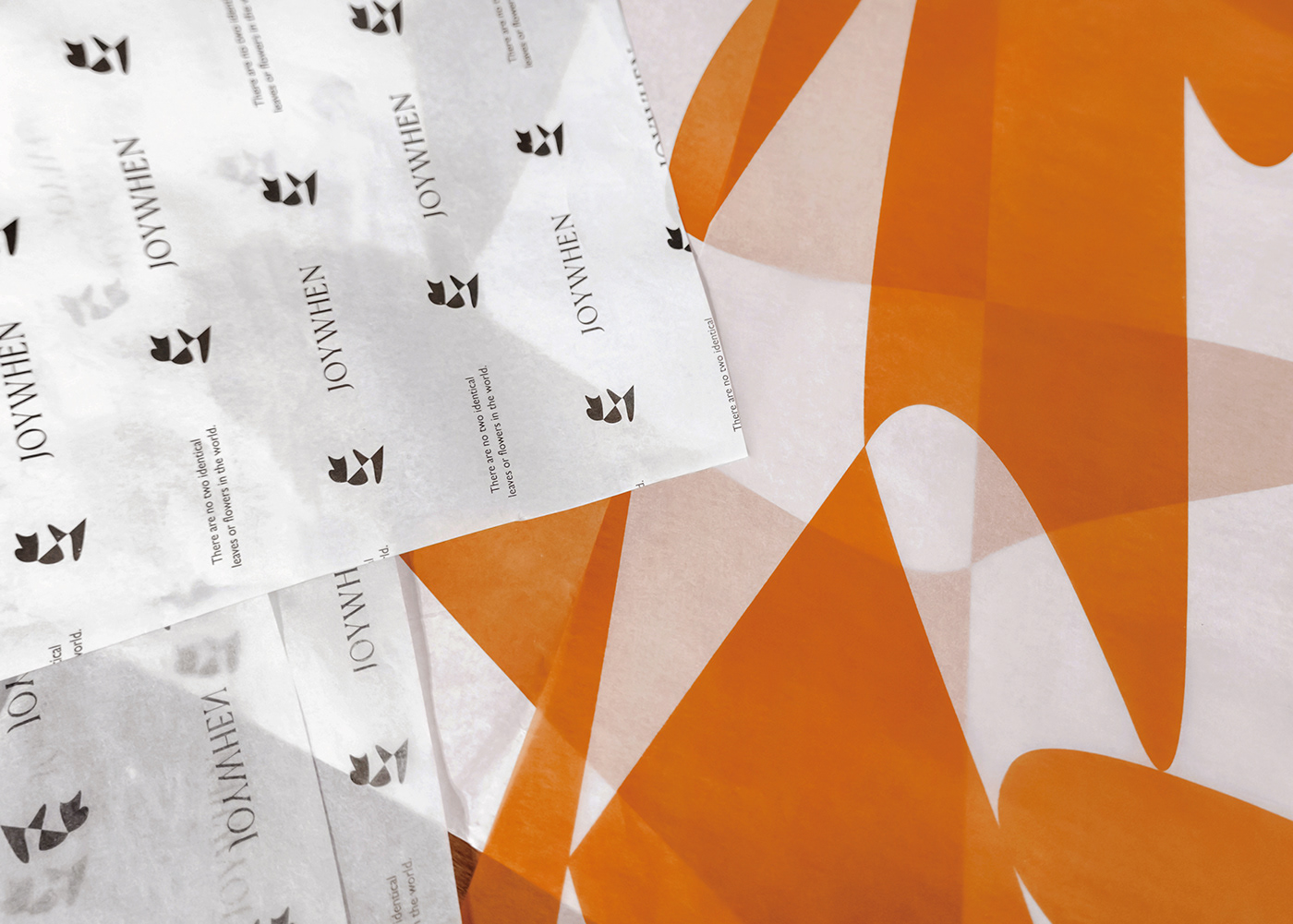 brand brand identity branding  Packaging packaging design 包裝設計 品牌 品牌設計 視覺設計
