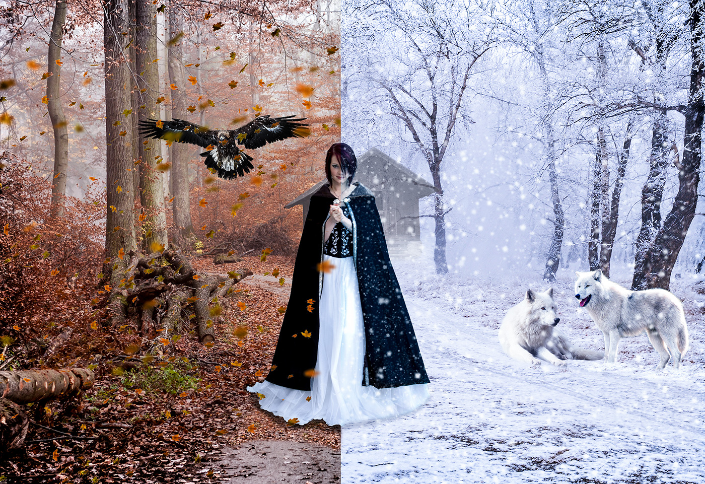 Adobe Photoshop mate painting winter autumn manipulation wolf eagle