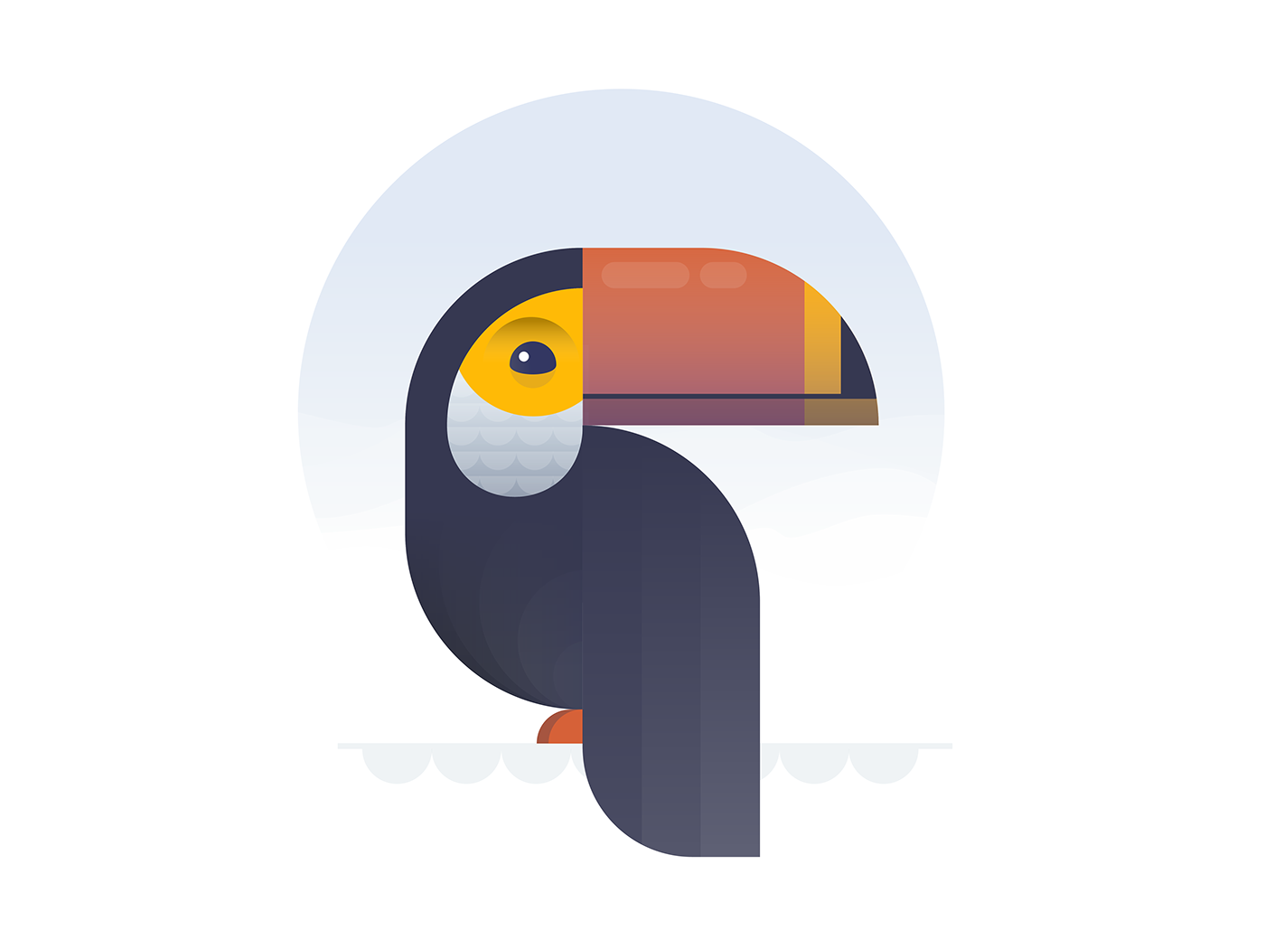 animal animals bird birds colours pelican penguin pigeon shapes toucan