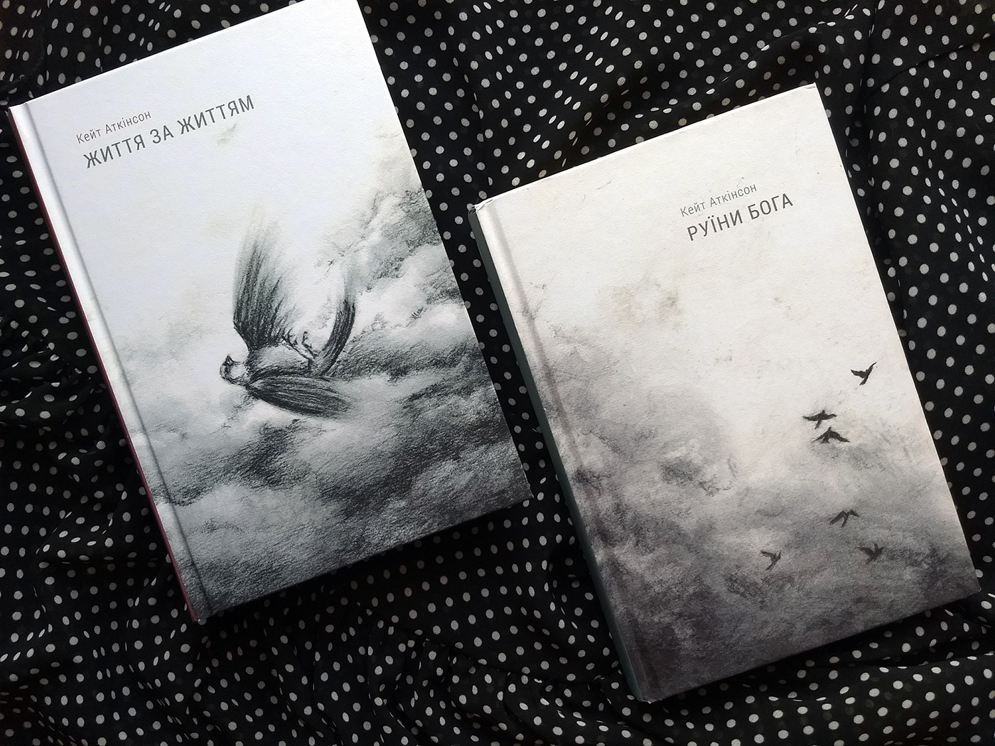 book cover book design graphic design  ILLUSTRATION  birds SKY clouds charcoal monochrome book illustration