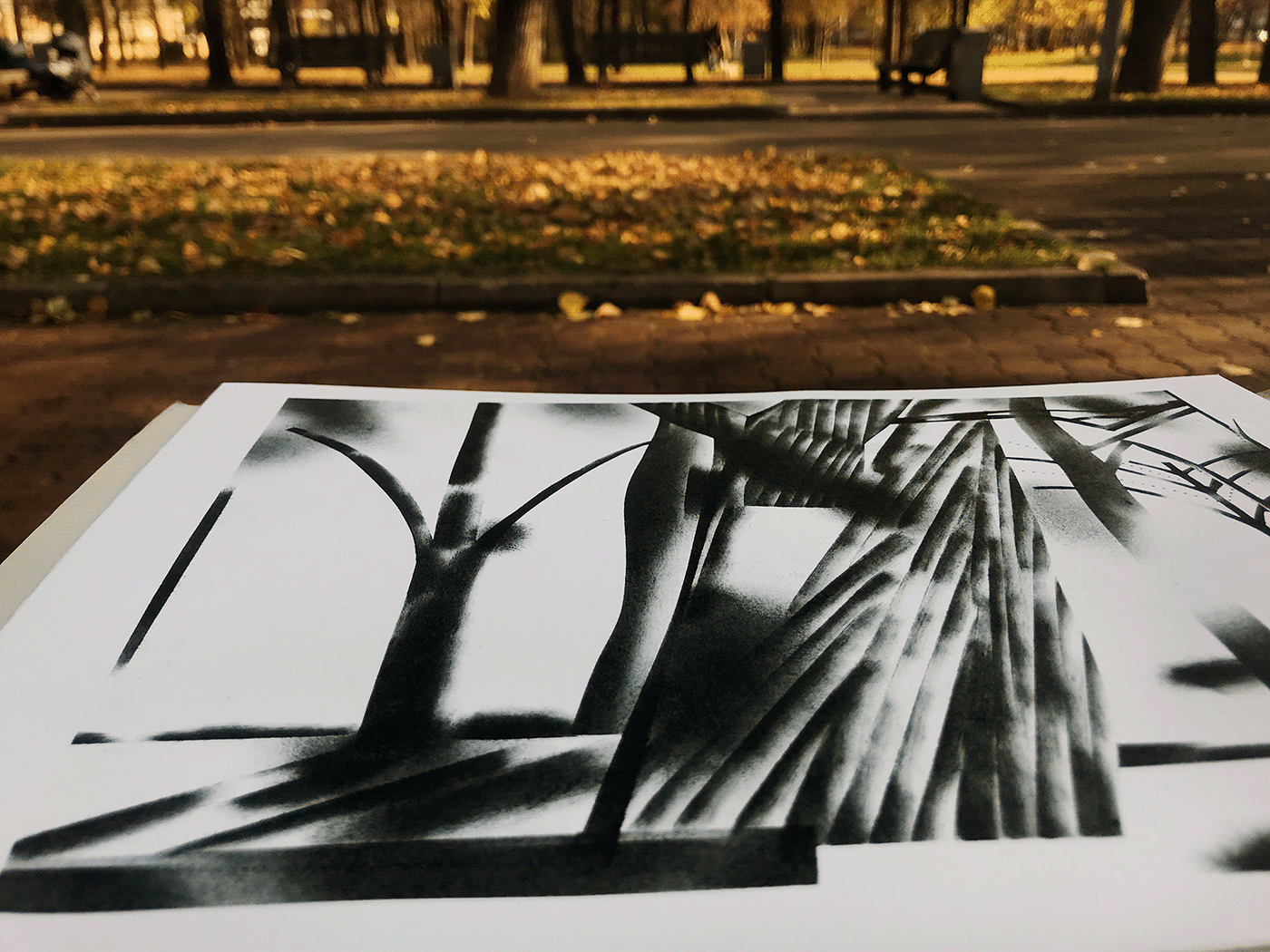 garden monoprint monotype Park pencil printmaking stencil Urban