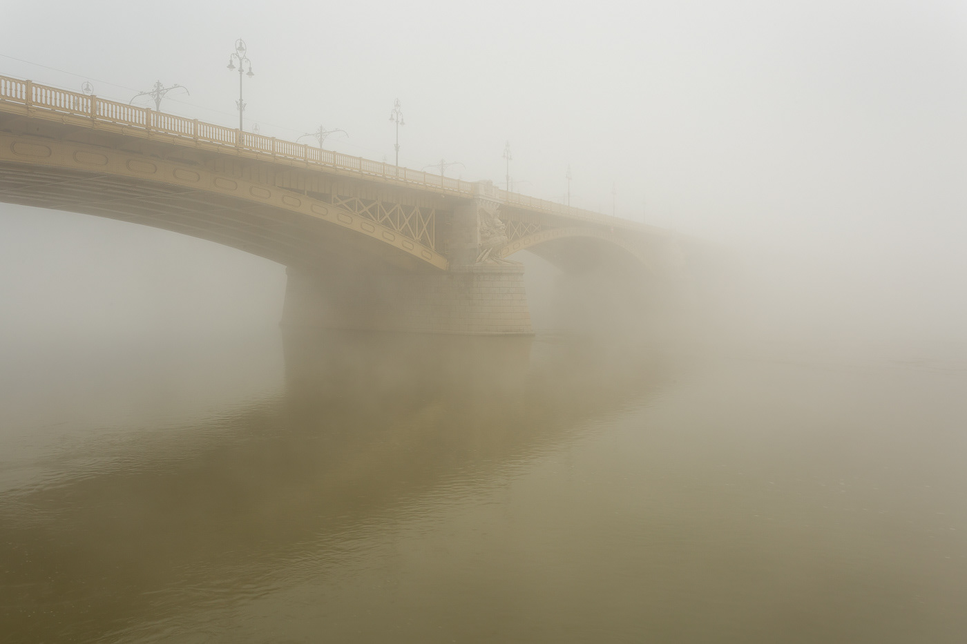 Photography  Nature Landscape mist fog mood Street Minimalism lumas