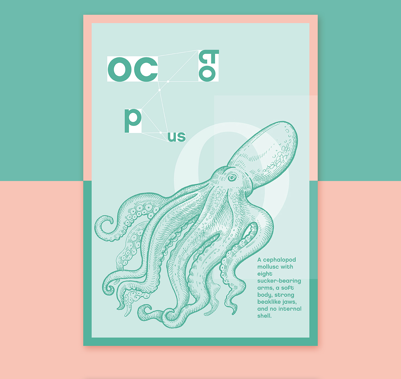 crap sea animal poster octopus shrimp color minimal flat
