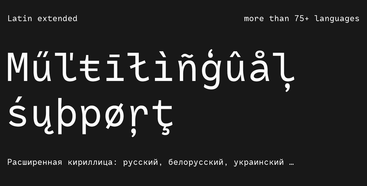 typography   monospaced rostin Cyrillic Latin Typeface font