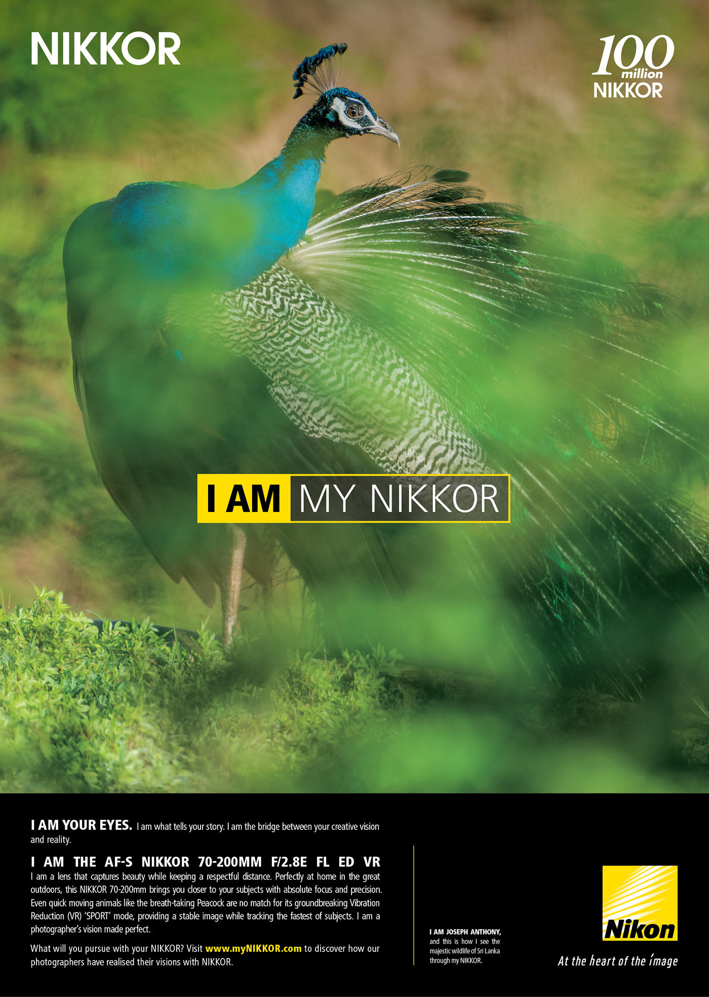 Film   Documentary  shoot locations  camera camera cameras lenses lens Nikon nikkor
