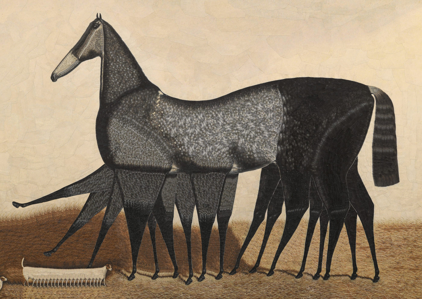 horses collage horse animals