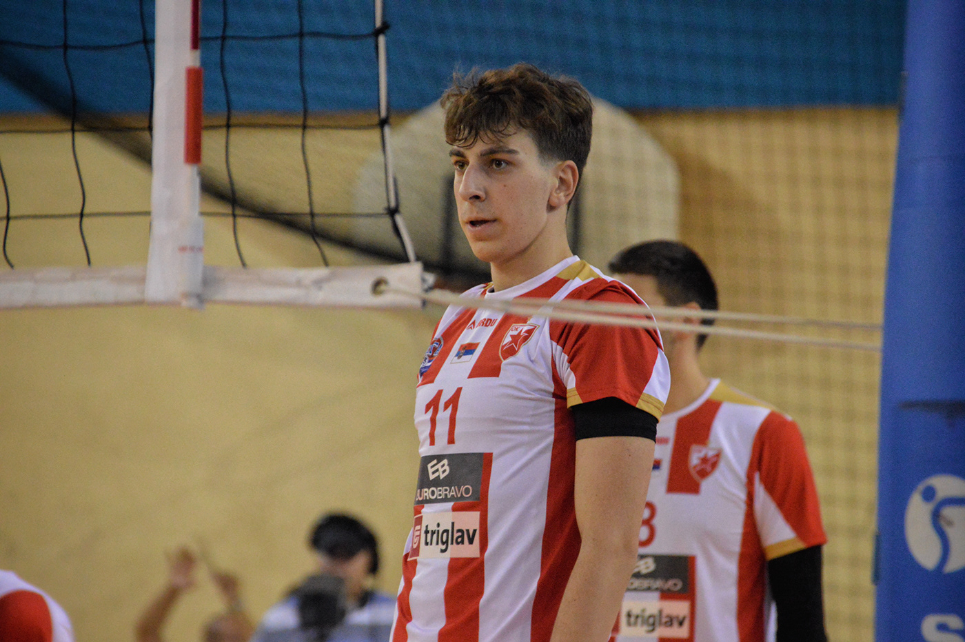 belgrade crvena zvezda eurovolley pallavolo redstar Serbia sports volley volleyball