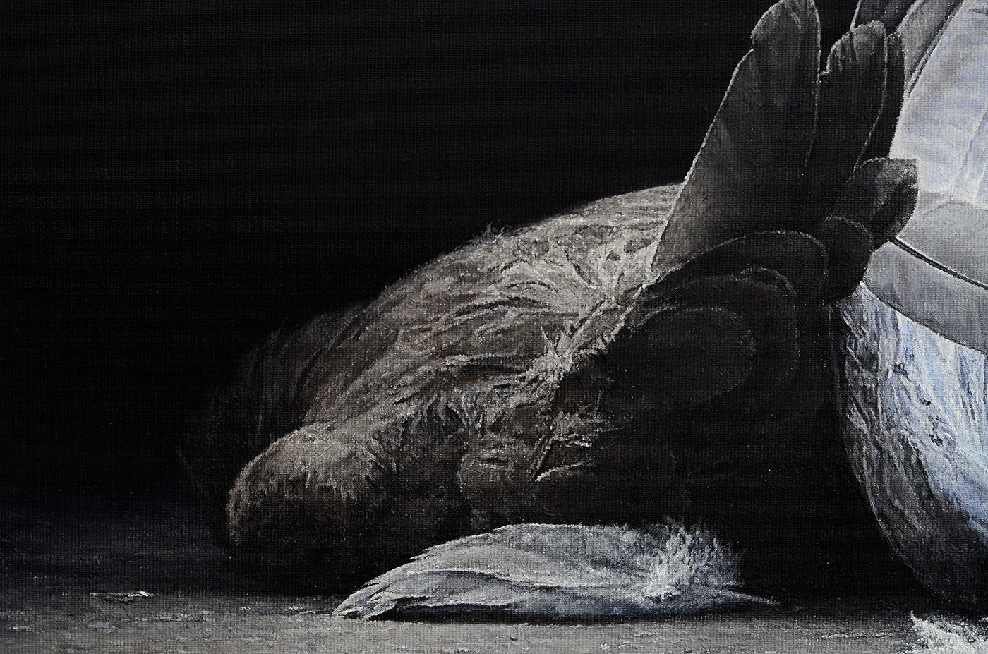 artist artwork death Doves feathers greyscale hyperrealism oilpainting painting   stilllife