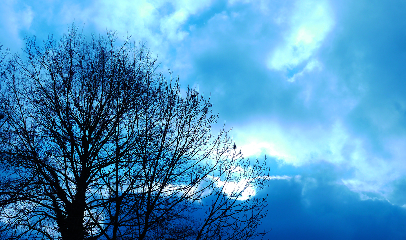 paysage photgraphy Photographie hiver Day Cat SKY