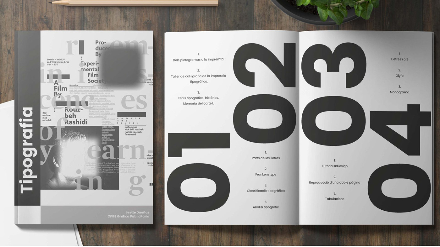 graphic design  designer InDesign revista Diseño editorial magazine