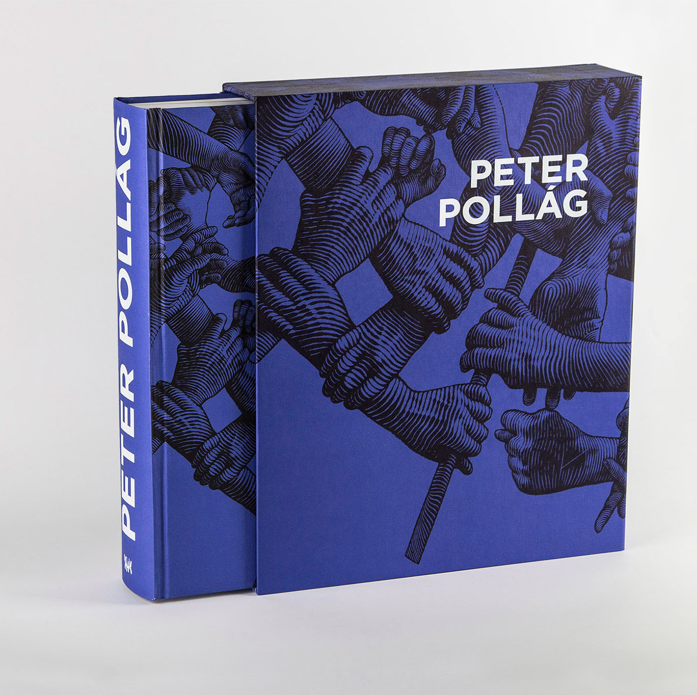 book painter design case ultramarine pollag monography