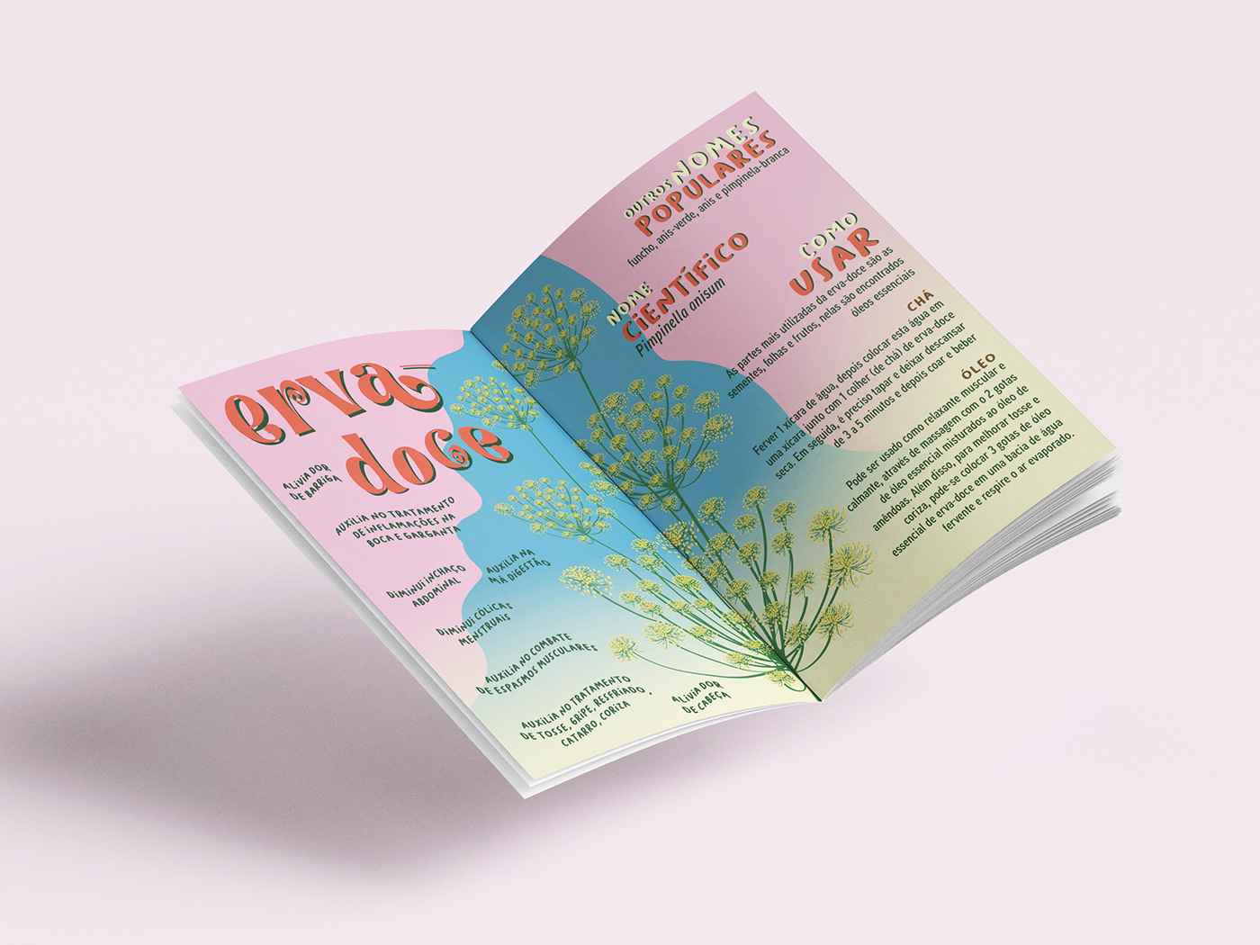 arte digital book design diagramación Flores ILLUSTRATION  impresso medicines plants