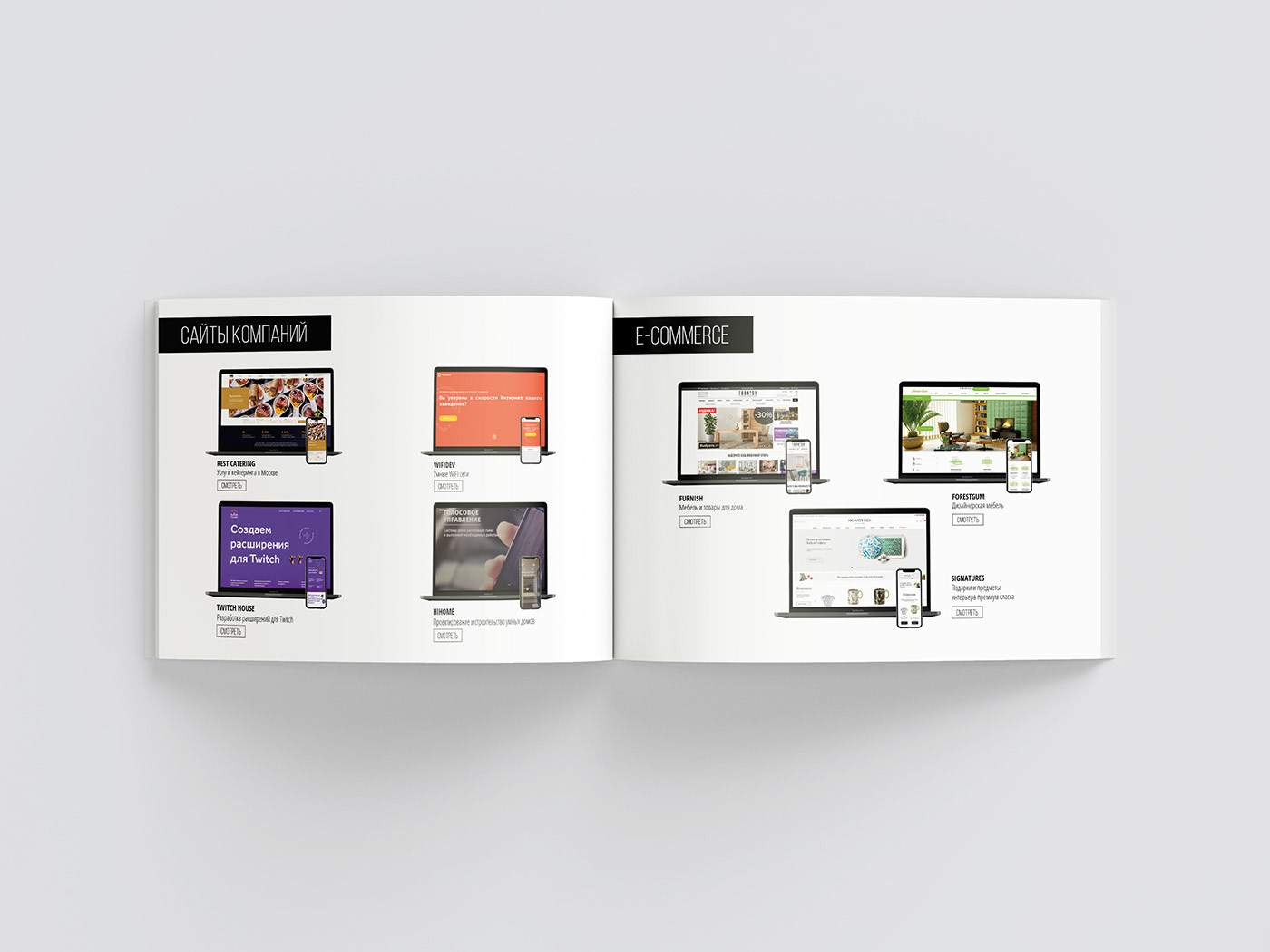 brand brochure brochure design design designer graphic design  portfolio Portfolio Design visual identity