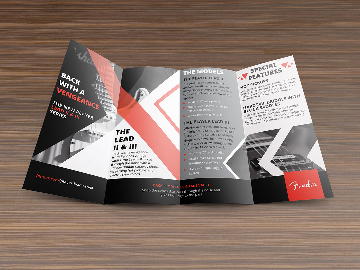 branding  brochure graphic design  InDesign print print design 