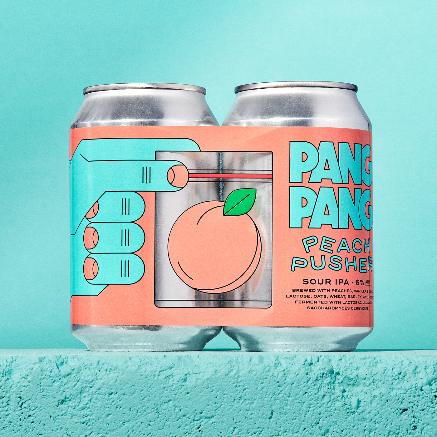 beer beverage Packaging fruits craft beer Label brand identity Can Design hand ILLUSTRATION 