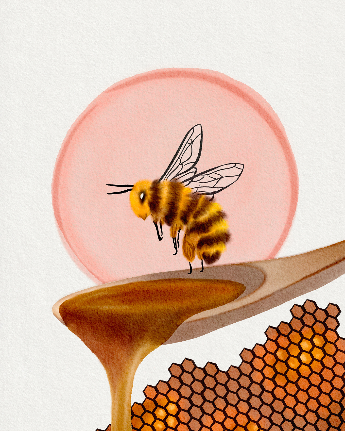 watercolor Digital Art  digital illustration painting   Nature design PROCREATE ART procreate illustration artwork bee