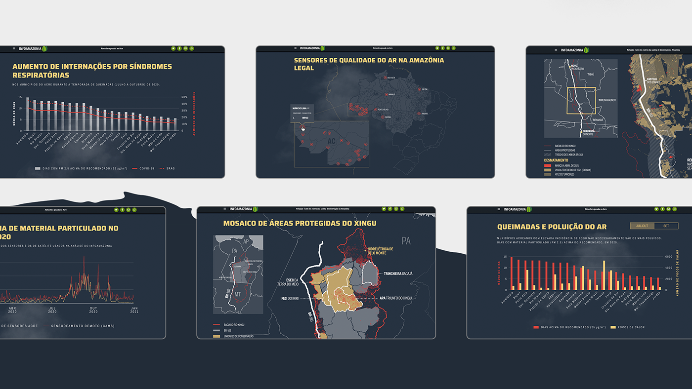 Amazon cartography COVid data visualization dataviz fire forest Health smoke visualization