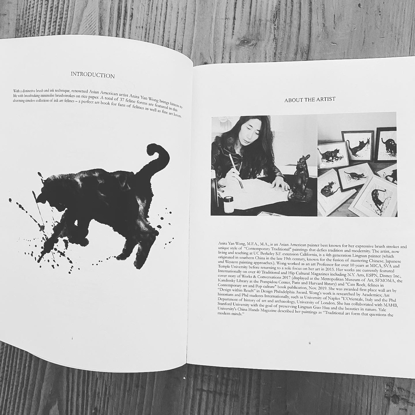 Anita Yan Wong art book Asian American asian art asian cat painting cat art ink ink kittens cat art book feline painting