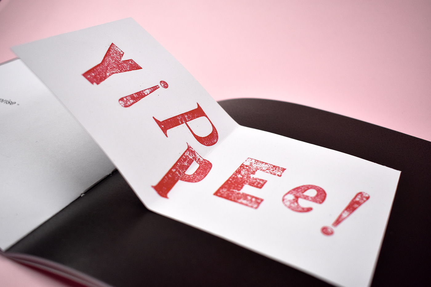 typography   letterpress children design editorial design  Expressive Typography language educational