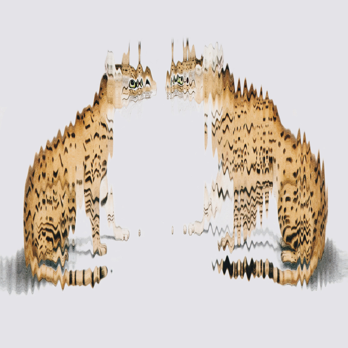 animal illustration animals cats Digital Art  fine art ILLUSTRATION  painting   portrait scanner scanography