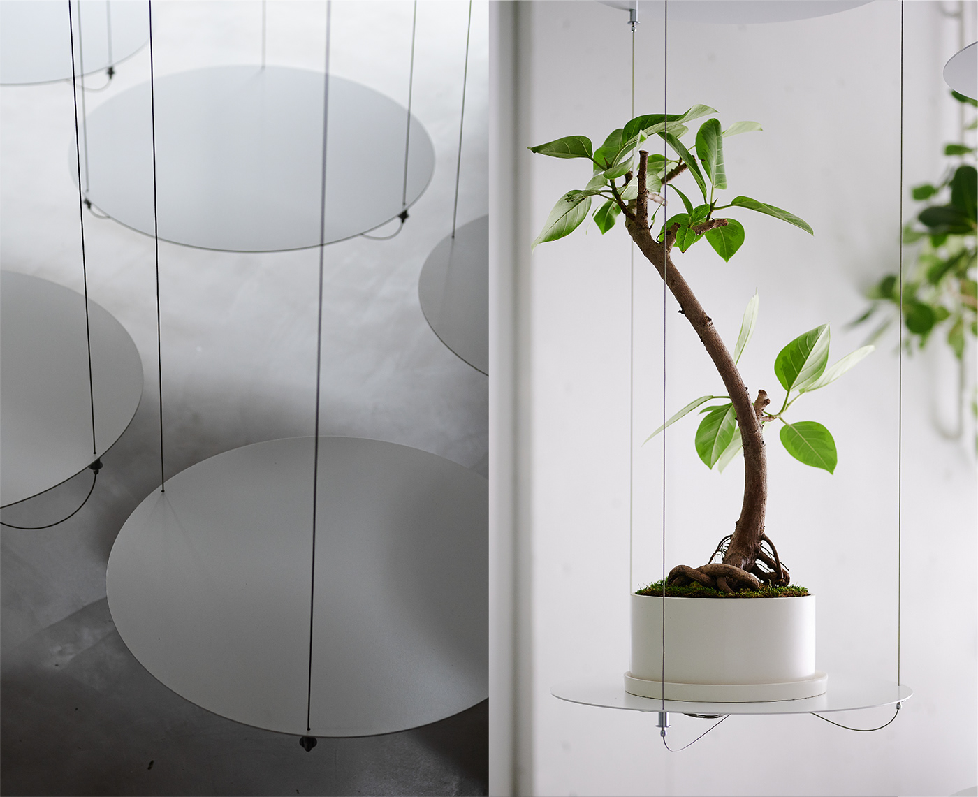 display design Displays Interior nosigner plants Space design furniture japan product product design 