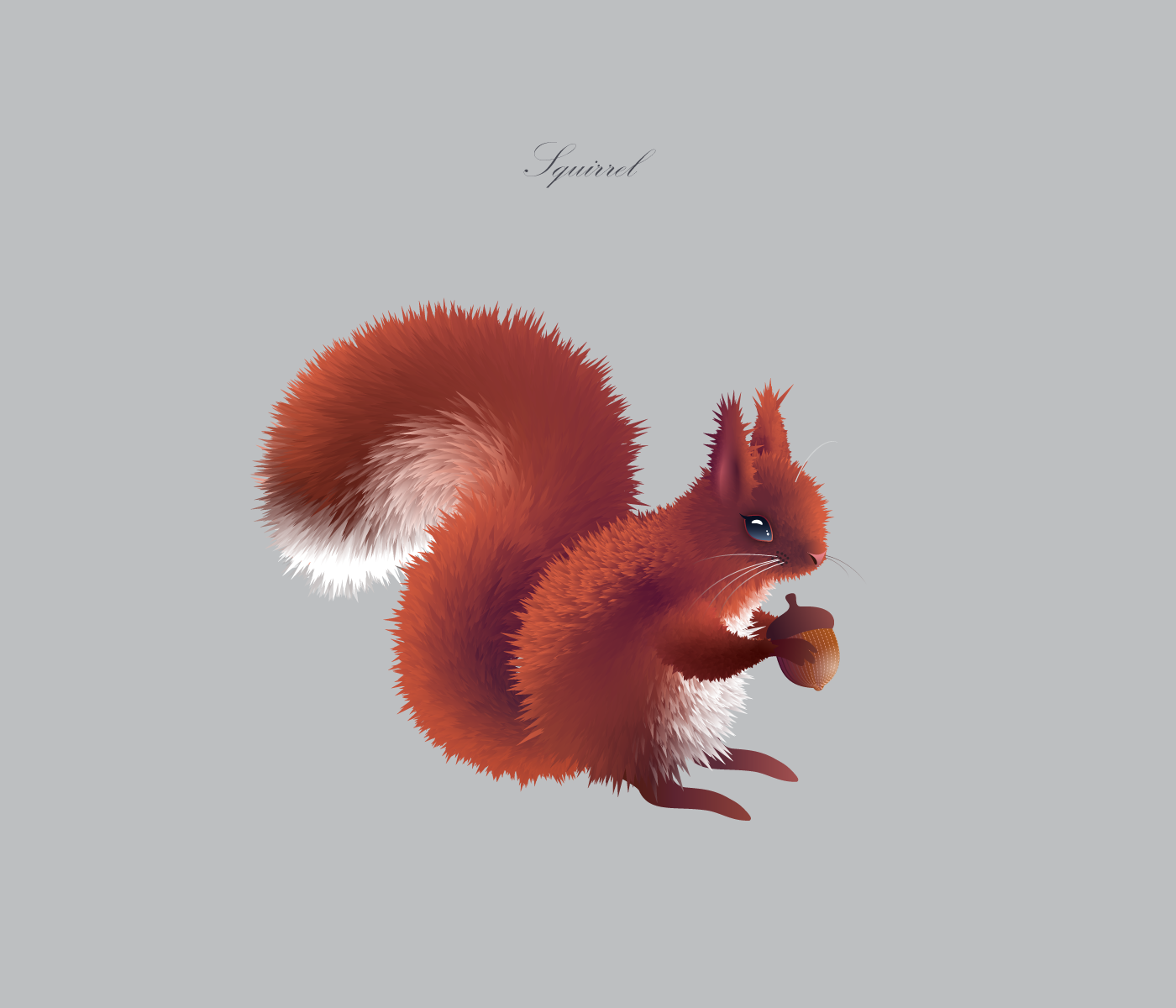 Illustrator tutorial animals Fur fluffy