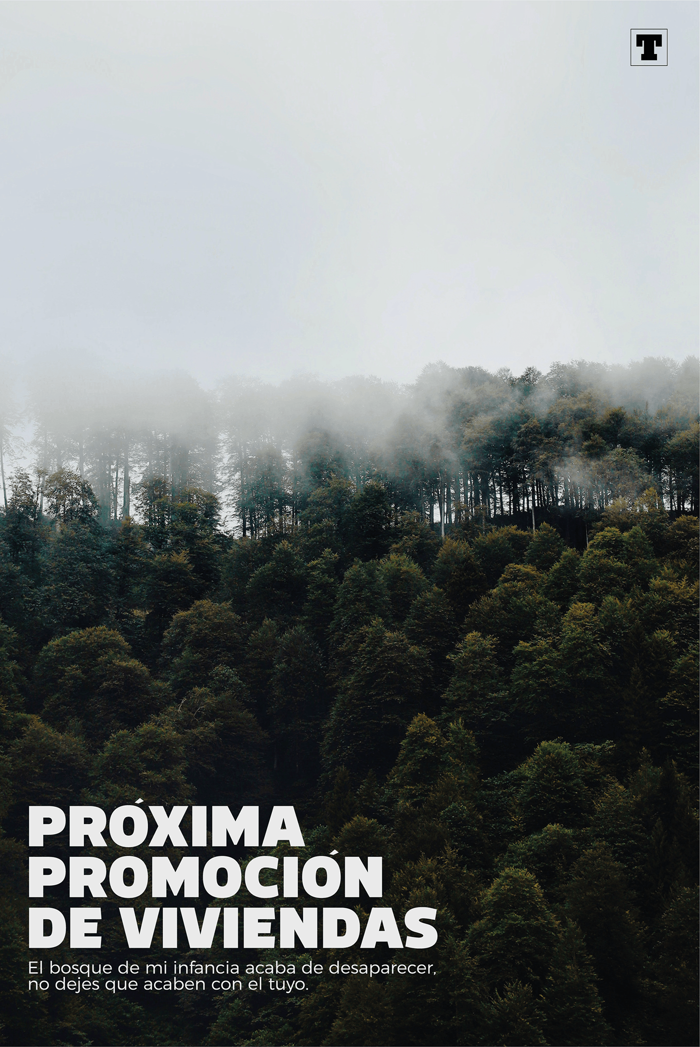 Advertising  Cantabria cartel certamentipos graphic design  marketing   medioambiente naturaleza poster
