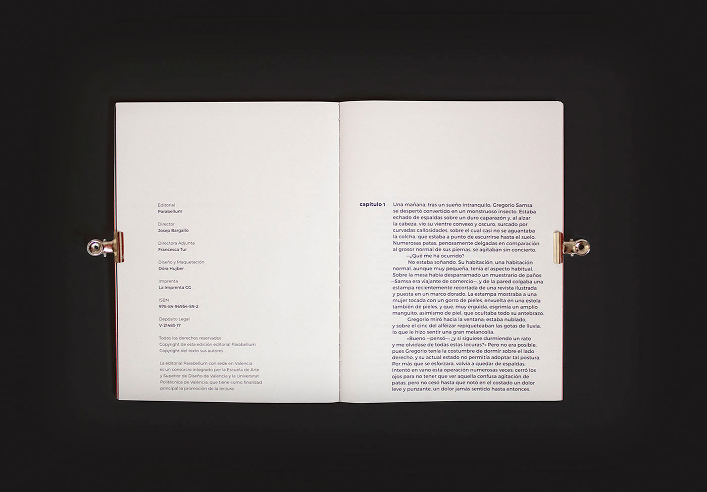 book design book experimantal experimental book design typography   publishing   publishing design libro editorial design  editorial