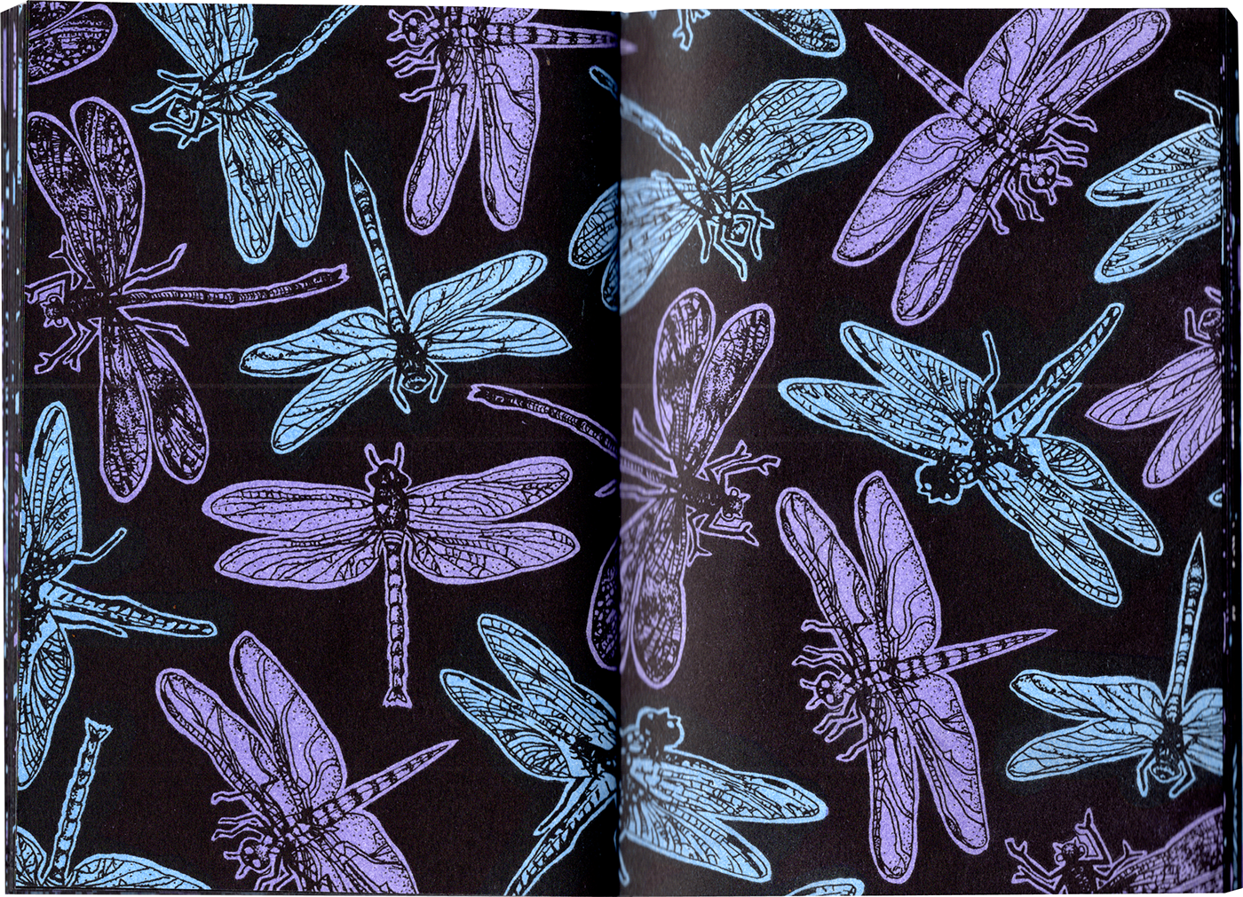 Dragonflies & Decay zine by Leanna Perry is a collection of delicate pattern-based illustrations.