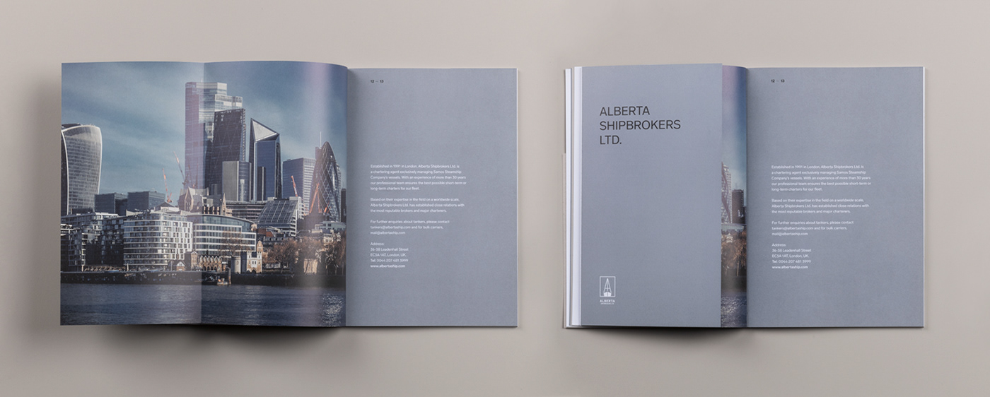 anual report brochure company profile design print
