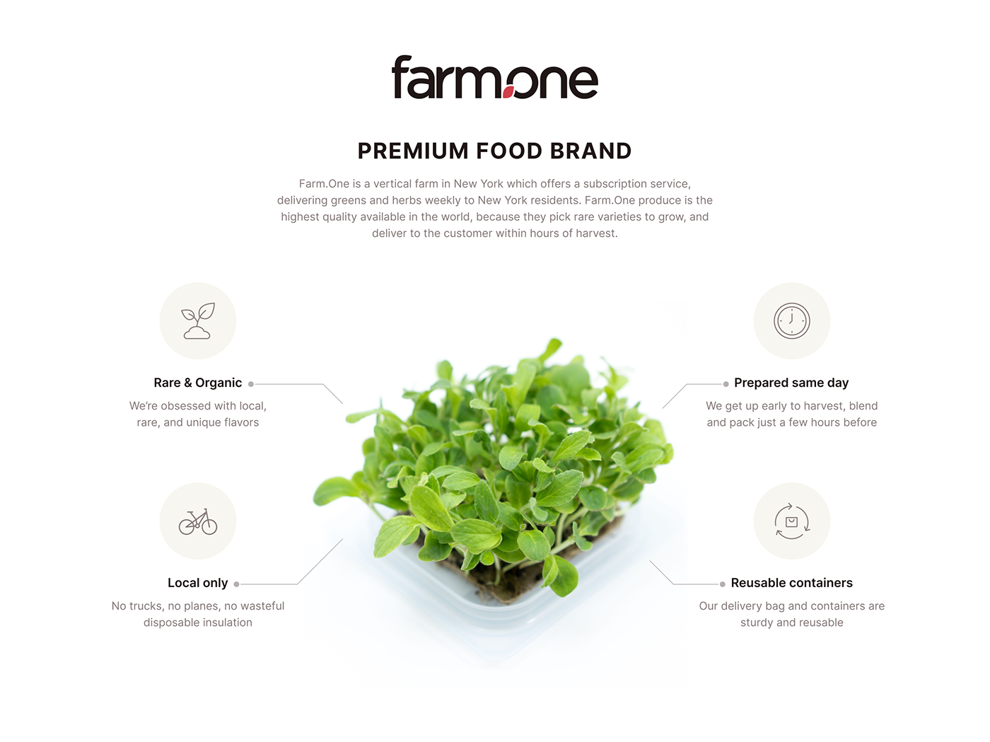 animation  Ecommerce Food  green interaction organic UI ux Webdesign Website
