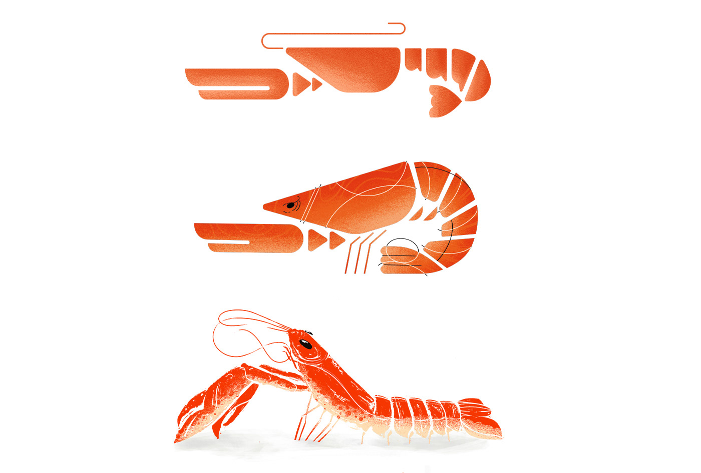 Food  lobster package Packaging seafood
