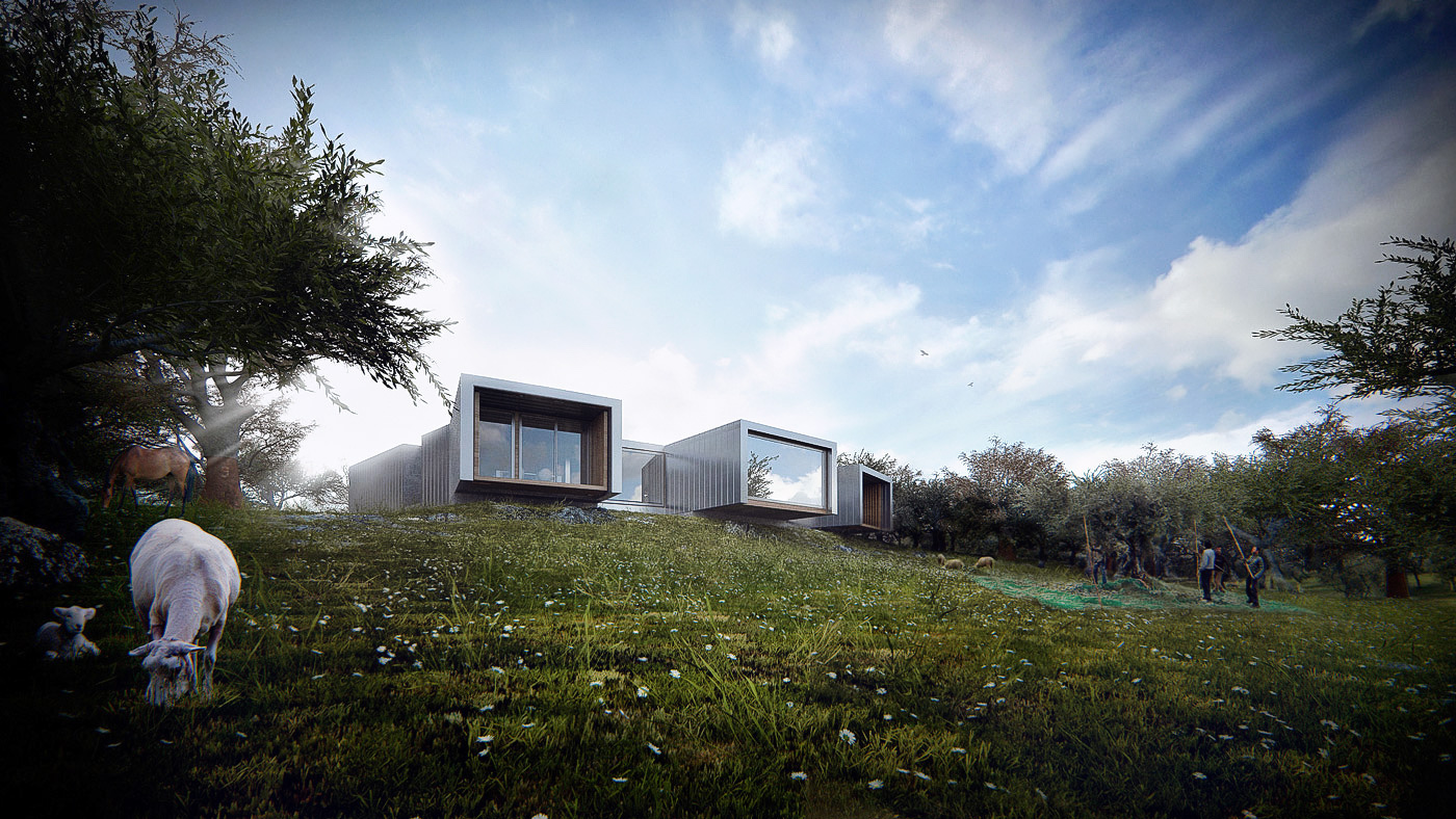 Architecture Visualization  house farm vray 3ds max Render  3d exterior Nature animals