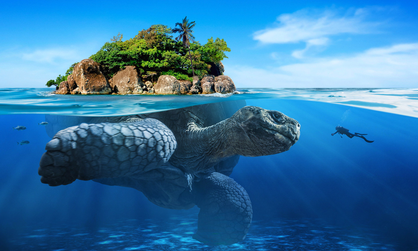 concept giant Ocean sea turtle island
