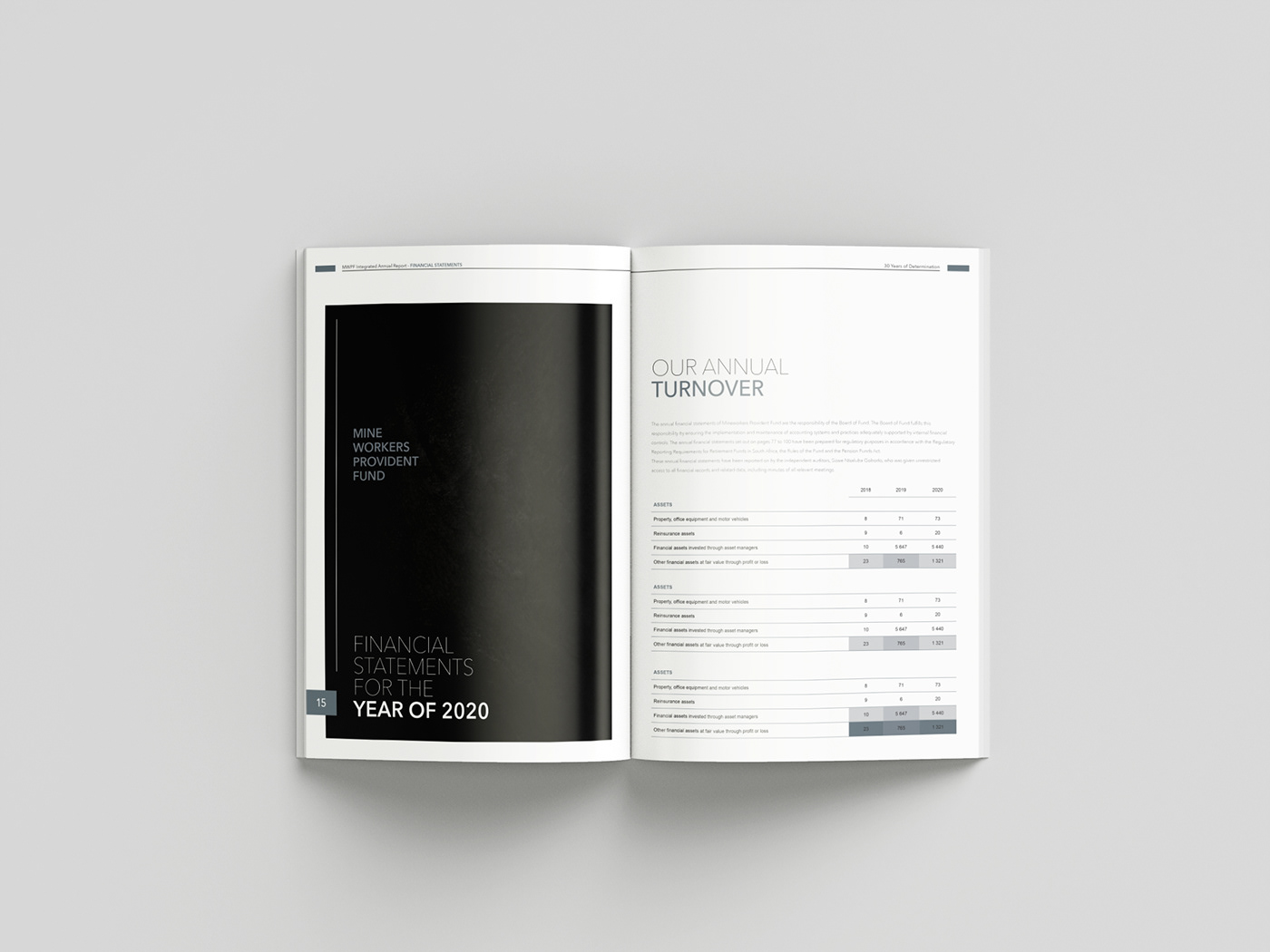 annual reporting editorial design  publication
