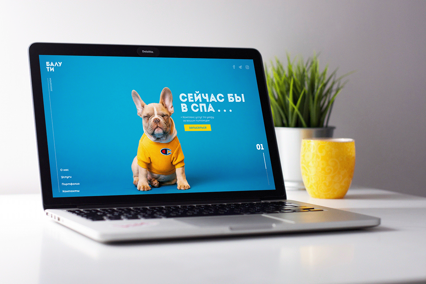 Adaptive grooming landing petsalon UI/UX Webdesign Website animals Pet pet website