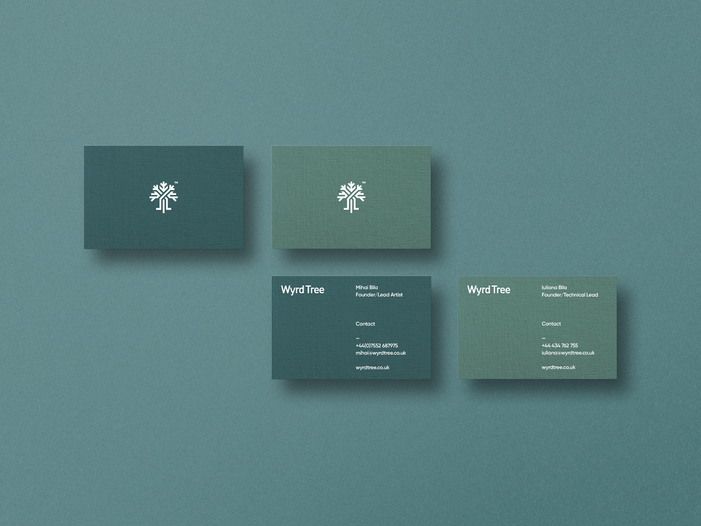 brand identity Logo Design print design  Business Cards architecture studio branding  logo Webdesign Website Design