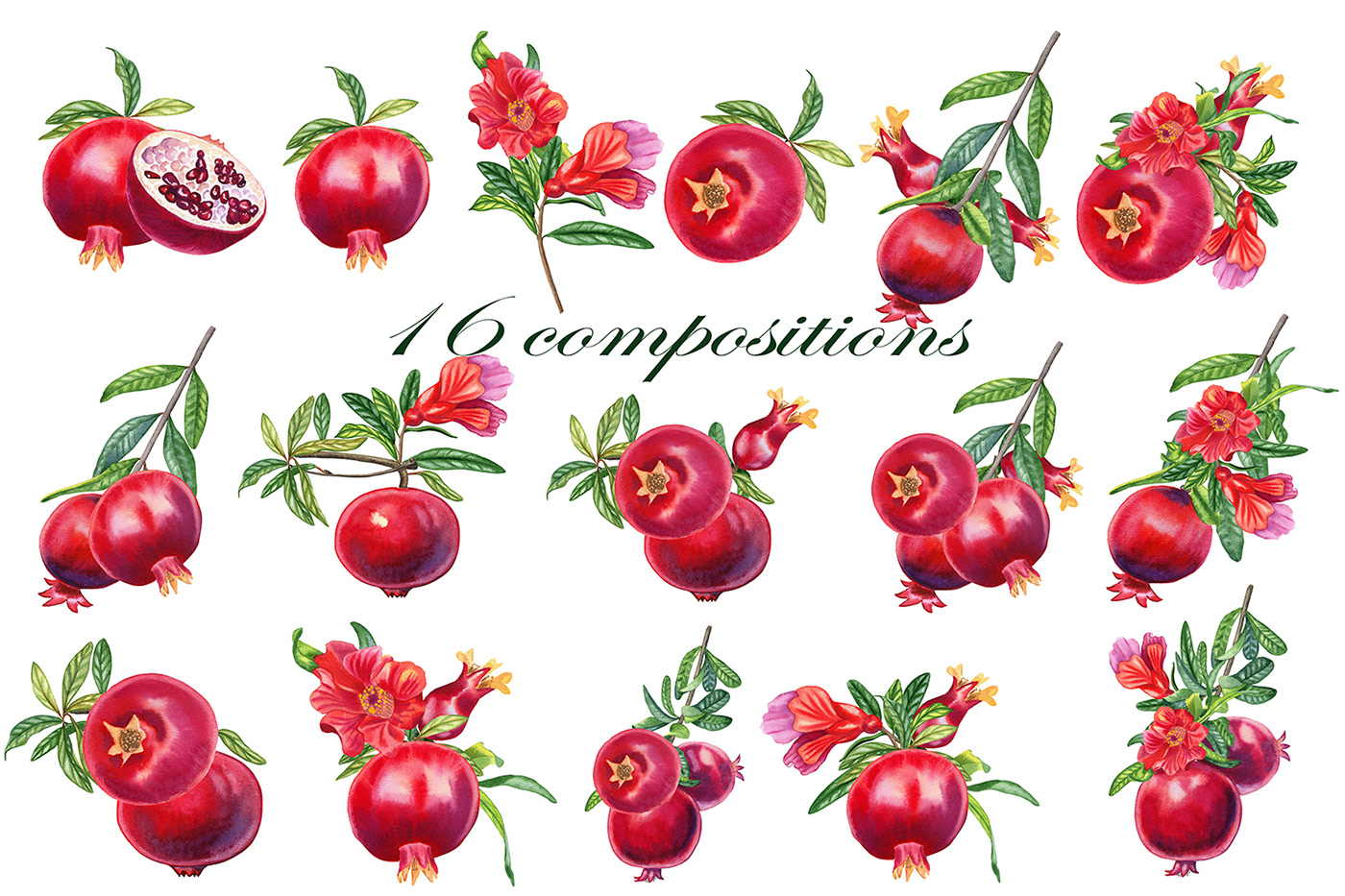 artist botany design fruits illustratoin Patterns Realism watercolor арт pomegranate