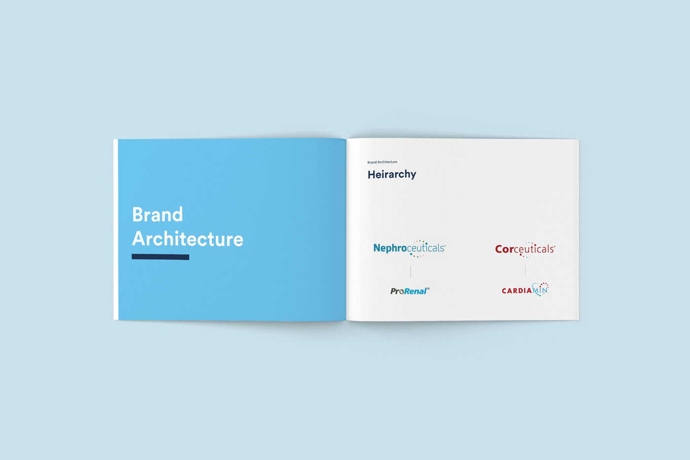 branding  brand identity brand manual typography   art direction  graphic design  visual identity visual system