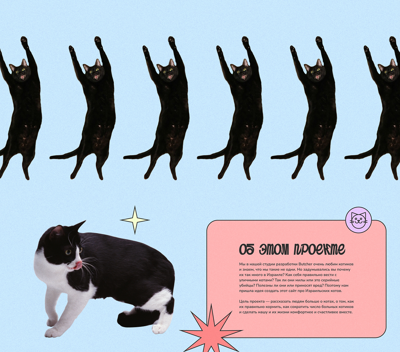 animals Cat colorful landing page UI/UX Website веб-дизайн лендинг сайт