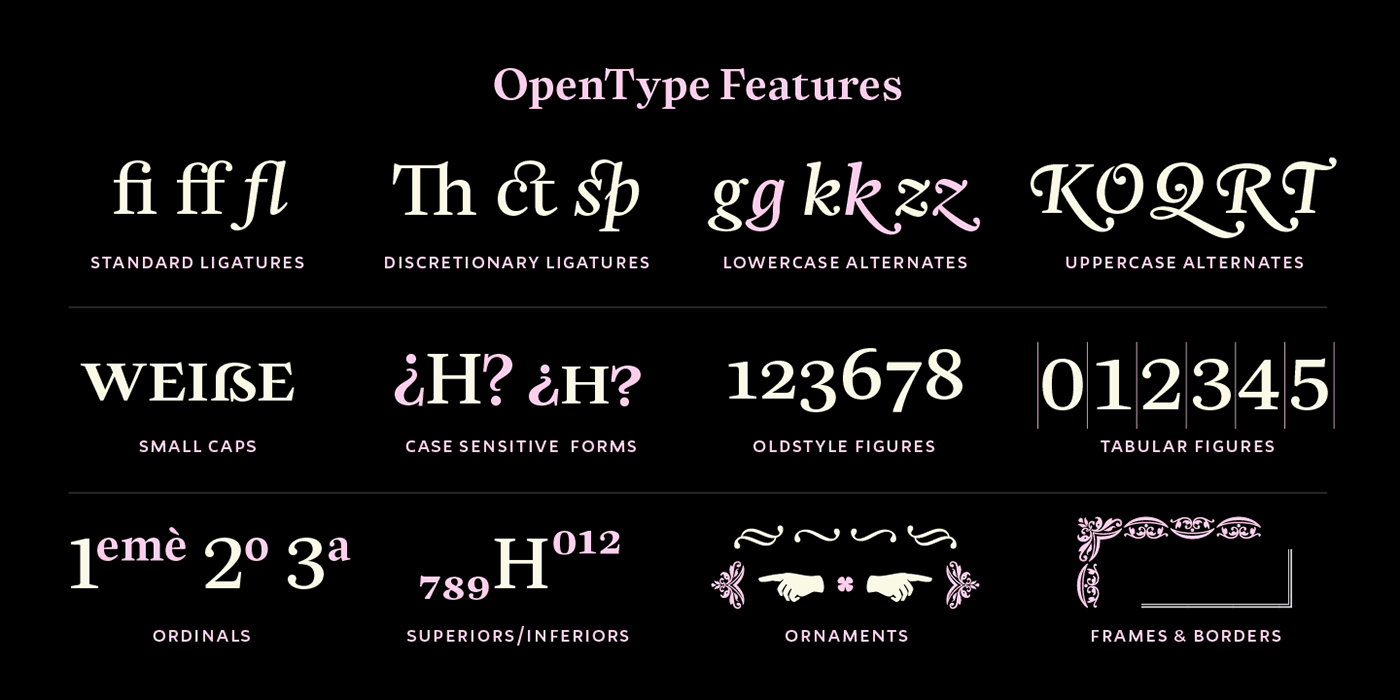 Classic editorial design  font serif sudtipos typography  