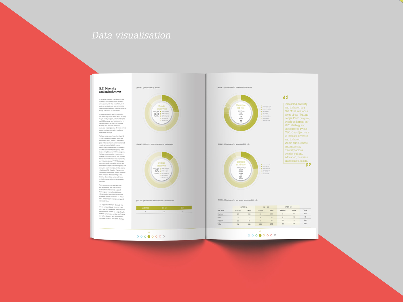 annual report reporting data visualisation iconography infographics