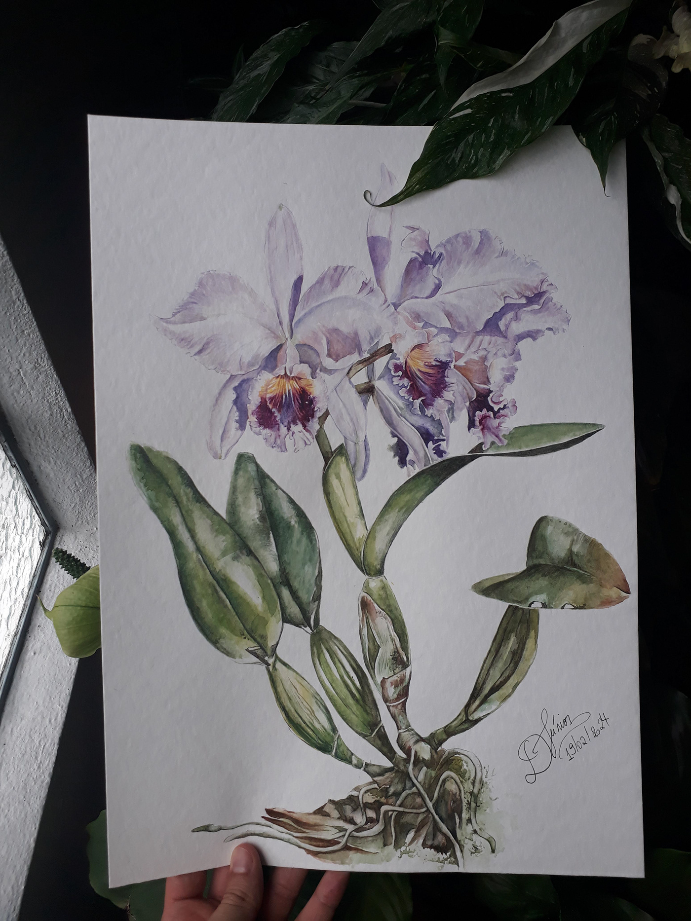 aquarela watercolor Drawing  painting   botanical illustration Flowers botanical ILLUSTRATION  artwork Nature