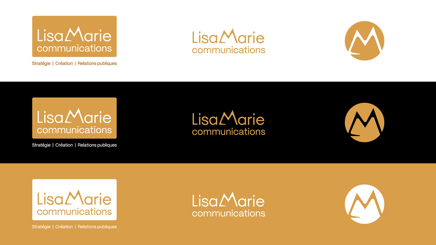 brand identity branding  identité visuelle Image de marque logo Logo Design Logotype typography  